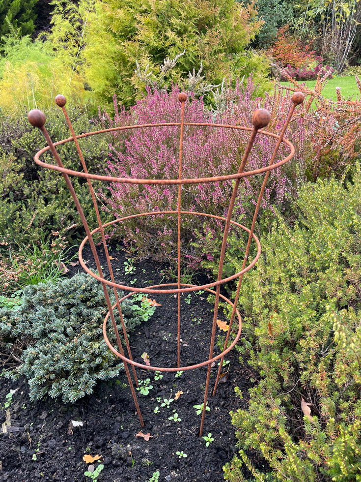 Peony Rust Plant Garden Circle Support Conical Rings Metal Heavy Duty Medium