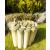 Wood Garden Roll Edge Border Edging High 30cm Length 240cm Pack Of 2 - view 2