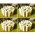 Wooden Lawn Garden Border Edging High 15cm Length 240cm Pack Of 4 - view 1