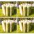 Wooden Garden Flower Border Log Roll Edging 23cm high Pack Of 4 - view 1