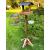 Tall Wooden Bird Table Feeding Station Feeder Slate Roof Heavy Duty - view 1