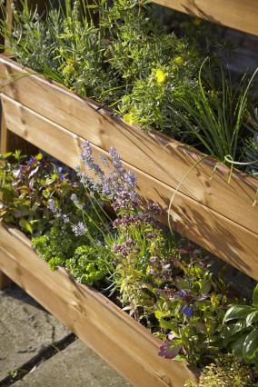 Wooden Stepped Raised Garden Herb Planter - UK Garden Products