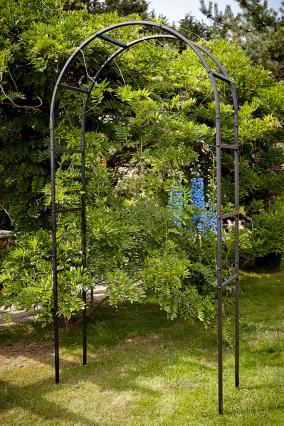 Tom Chambers Classic Garden Arch - UK Garden Products