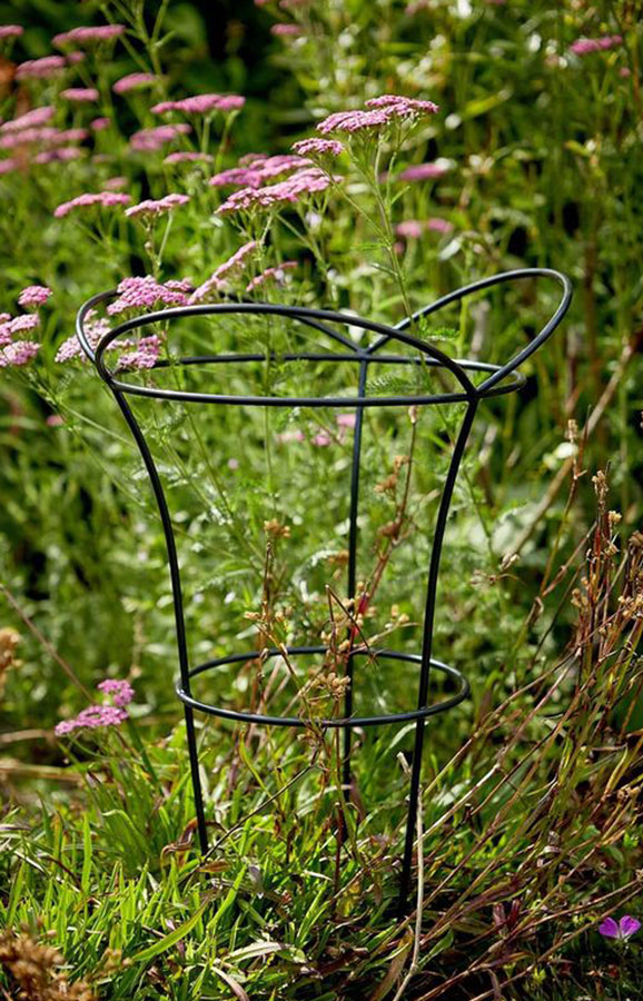 Large Cottage Garden Peony Basket Plant Supports 80cm high